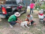 วันอังคารที่ 23 เมษายน 2567  เจ้าหน้าที่องค์การบริหารส่วนตำบ